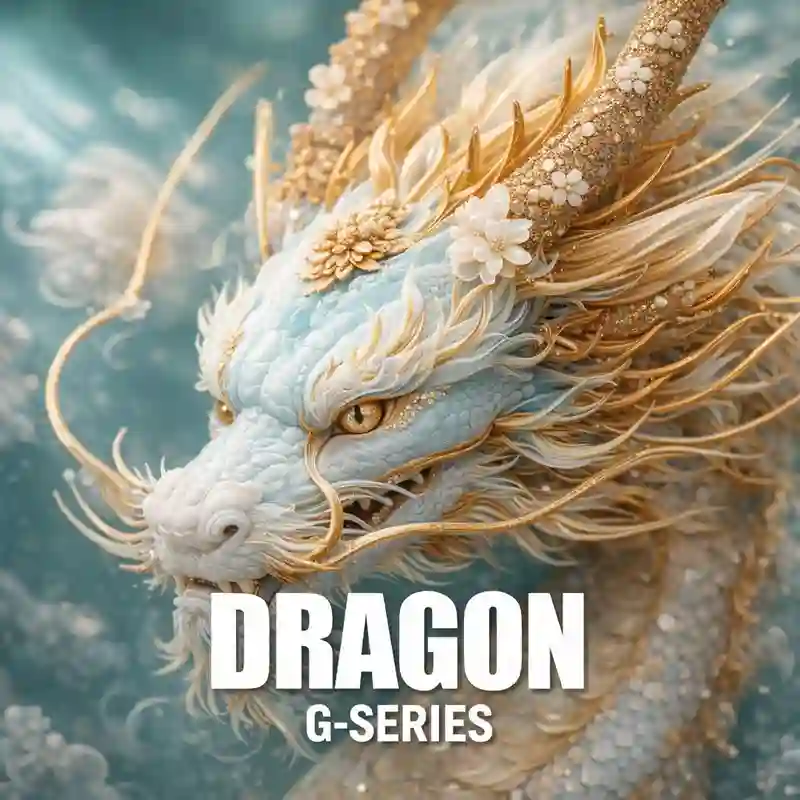 Dragon Casino Game Interface